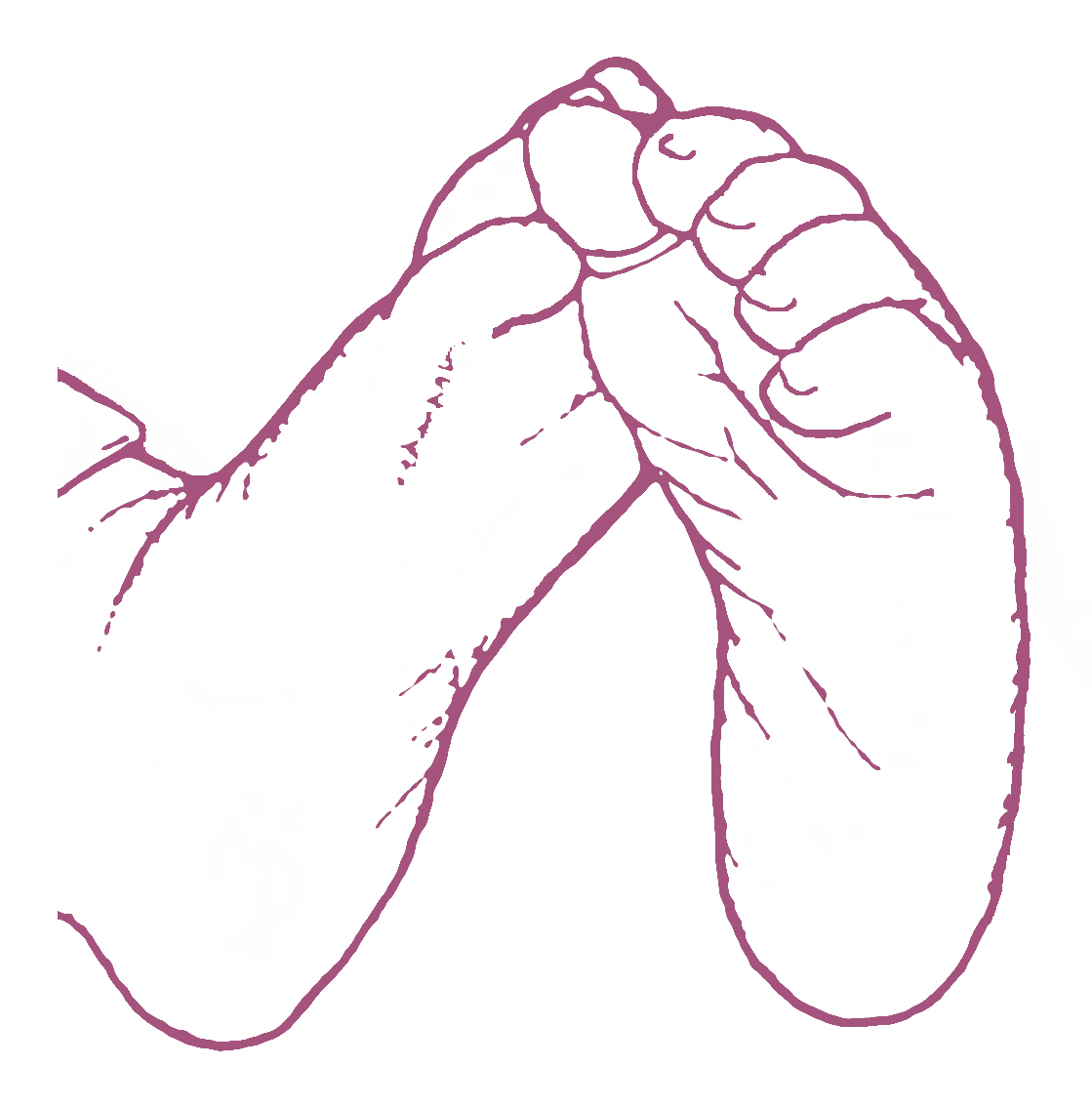 Dr Natalie Shaw Specialist Practice Logo