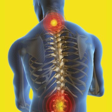 Precision Physiotherapy & Massage Alfred Cove